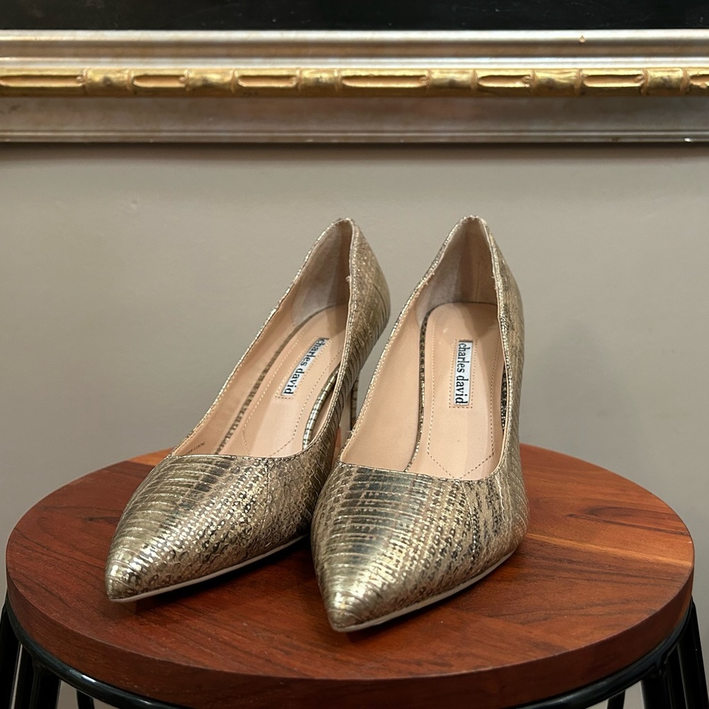 Charles David Fine Leather Pumps
